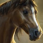 Big Bucks Bandits Megaways: Cavallo