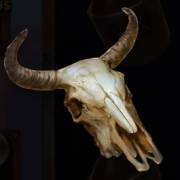 Big Bucks Bandits Megaways: Cranio