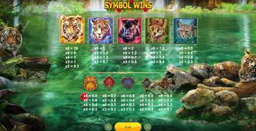 Big Cat Rescue Megaways: Tabella dei pagamenti