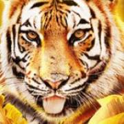 Big Cat Rescue Megaways: Tigre