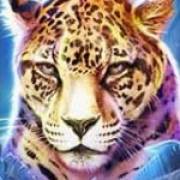 Big Cat Rescue Megaways: Leopardo