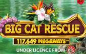 Slot Big Cat Rescue Megaways