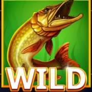 Big Fishing: Selvaggio