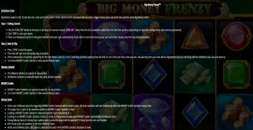 Big Money Frenzy: Regole