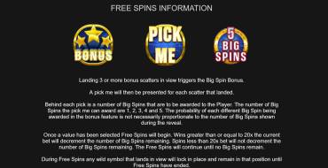 Big Spin Bonus: Giri gratis e/o respin