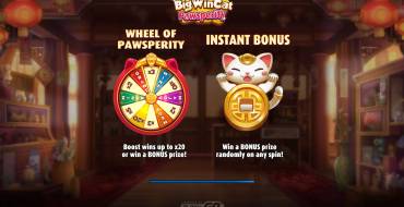 Big Win Cat Pawsperity: Caratteristiche uniche