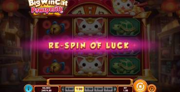 Big Win Cat Pawsperity: Respinte