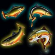 Bigger Size Fishin': Pesce