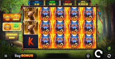 Blazing Spirit Hold and Win: Slot machine