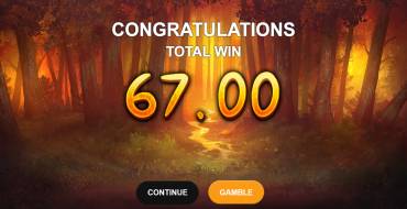 Blazing Spirit Hold and Win: Vincite