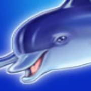 Blue Dolphin: Selvaggio
