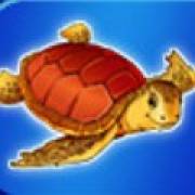 Blue Dolphin: Tartaruga