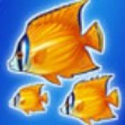 Blue Dolphin: Pesce