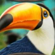 Blue Panther: Tucano