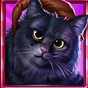 Book Of Enchantments: Gatto