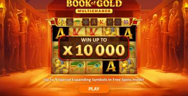 Book of Gold Multichance: Caratteristiche uniche