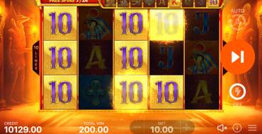 Book of Gold Multichance: Caratteristiche uniche