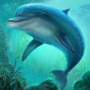 Book of Poseidon: Delfino