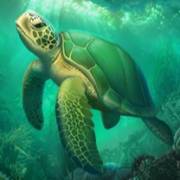 Book of Poseidon: Tartaruga