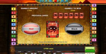 Book of Ra Deluxe: Gioco del rischio