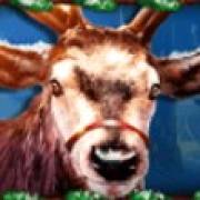 Book of Reindeer: Renna