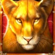 Book Of Savannah’s Queen: Ghepardo