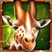 Book Of Savannah’s Queen: Giraffa