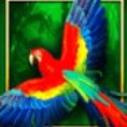 Book of The Jungle: Pappagallo