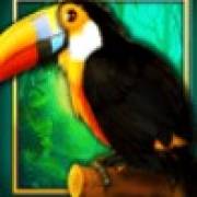 Book of The Jungle: Tucano