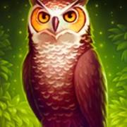 Book of Wizard: Crystal Chance: Gufo