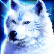 Book Of Wolves: Lupo