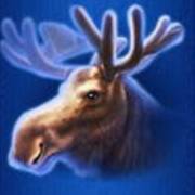 Buffalo Blitz: Renna