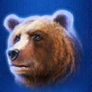 Buffalo Blitz: Orso
