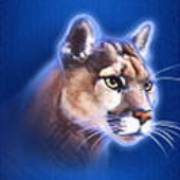 Buffalo Blitz: Lince