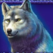 Buffalo King Megaways: Lupo