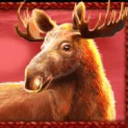 Buffalo King Megaways: Alce