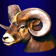 Buffalo Lightning: Capra