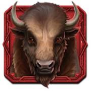 Buffalo of Wealth: bufalo