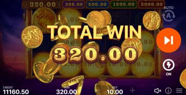 Buffalo Power: Hold and Win: Vincite