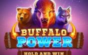Slot Buffalo Power: Hold and Win