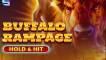 Slot Buffalo Rampage – Hold & Hit