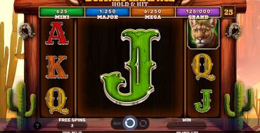 Buffalo Rampage – Hold & Hit: Caratteristiche uniche