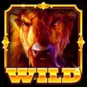 Buffalo Rampage – Hold & Hit: Selvaggio