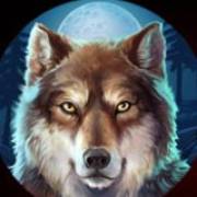 Buffalo Rising Megaways All Action: Lupo