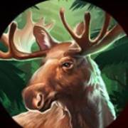 Buffalo Rising Megaways All Action: Alce