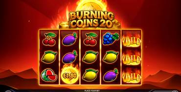 Burning Coins 20: Slot machine