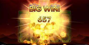 Burning Coins 20: Vincite