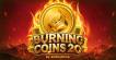 Slot Burning Coins 20