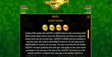 Burning Slots Cash Mesh Ultra Dice: Jackpot