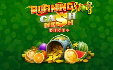Burning Slots Cash Mesh Ultra Dice